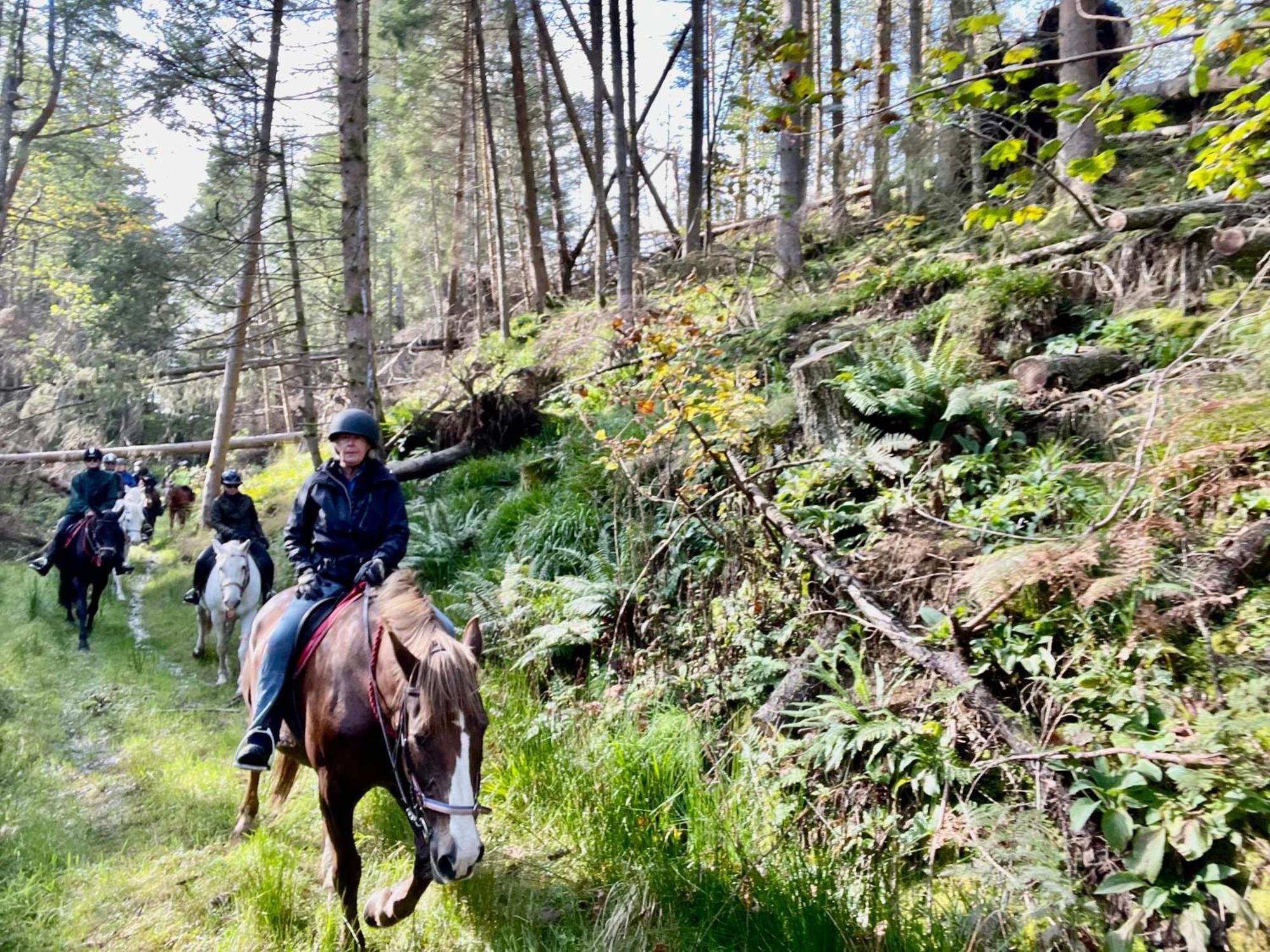 Scottish Equi B&B Lanark Bagian luar foto